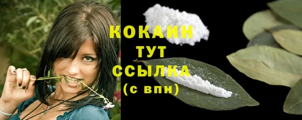 ешки Арсеньев