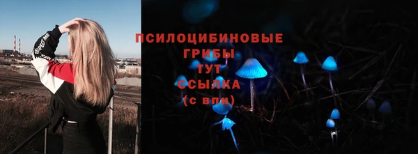 ешки Арсеньев