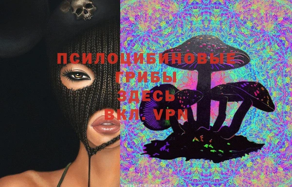 таблы Алексин