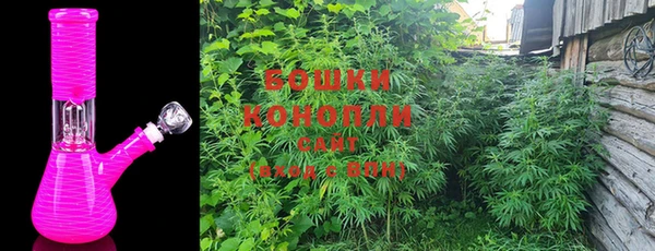 ешки Арсеньев