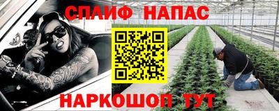 спиды Гатчина