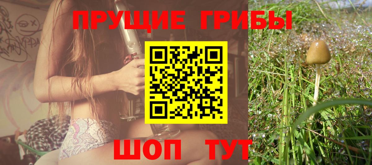 Галлюциногенные грибы мухоморы Нефтекумск