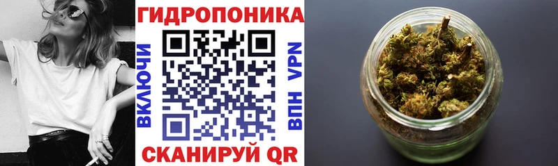 OMG ONION  Нефтекумск  Каннабис гибрид 